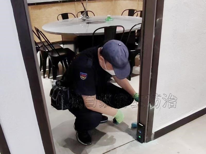 惠州市惠城区江南白蚁防治中心推荐电话-白蚁在电缆中活动易引发火灾隐患