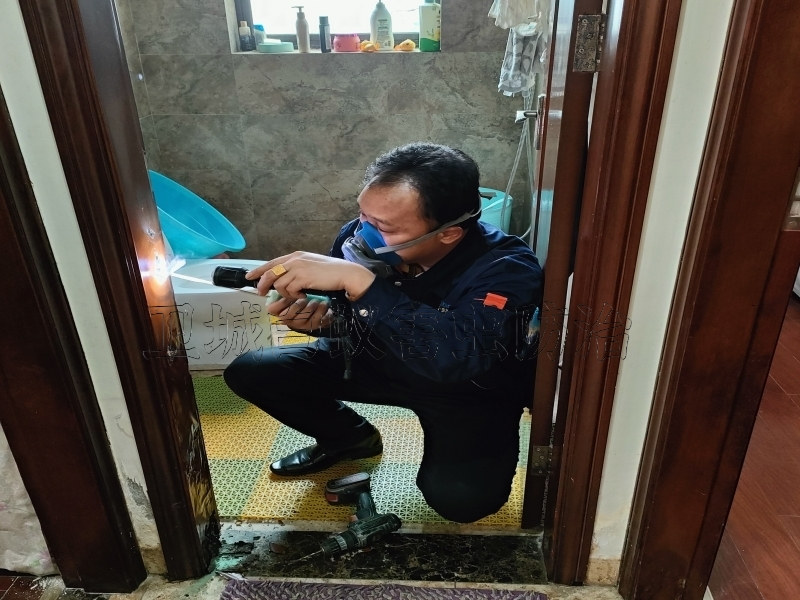 惠州市惠阳区大亚湾澳头白蚁防治中心推荐电话-白蚁防治需及时发现及时处理