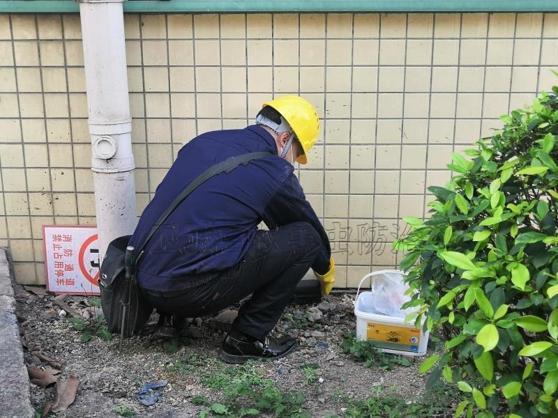 东莞樟木头除四害杀臭虫灭蟑螂-樟木头除四害专业服务公司专注虫害服务