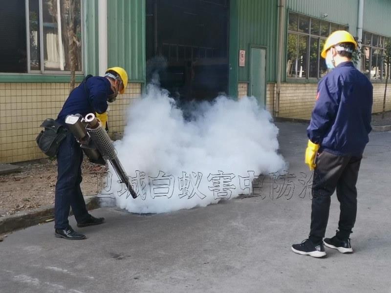 东莞常平除四害宿舍吸血杀臭虫灭蟑螂跳蚤-常平工厂区除四害公司