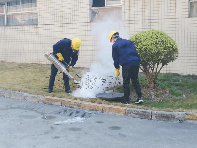 东莞谢岗除四害杀臭虫灭蟑螂杀蚊虫预防登革热-东莞谢岗杀虫灭鼠公司