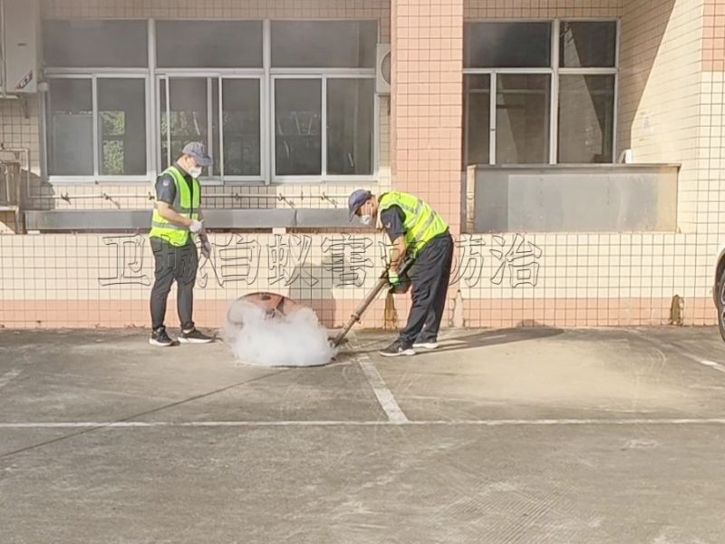 东莞桥头除四害公司-桥头宿舍杀臭虫防治-您最佳的选择东莞企石杀跳蚤灭白蚁公司