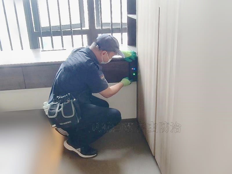 惠州市惠东县吉隆白蚁防治中心推荐电话-白蚁在房屋角落筑巢不易被发现