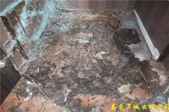 常平白蚁防治-建筑物防止白蚁危害的措施