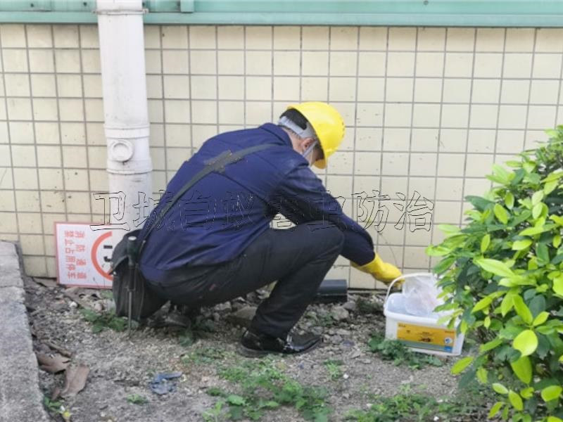 东莞塘厦杀虫除四害实用方法-东莞市卫城白蚁害虫防治有限公司