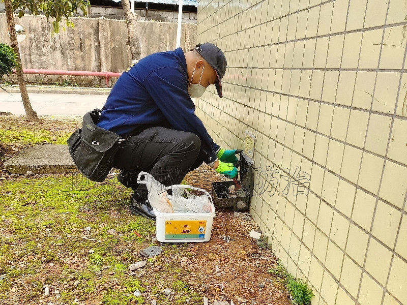 虎门工厂除四害公司,虎门灭杀臭虫，虎门杀老鼠（卫城虫控）